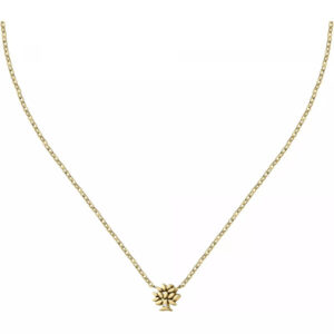 La Petite Story Elegantní pozlacený náhrdelník s krystalem Family LPS10ASF05