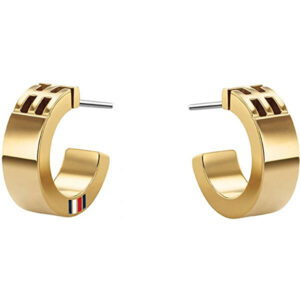 Tommy Hilfiger Fashion pozlacené náušnice kruhy TH2780418