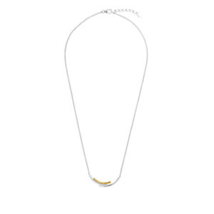 JVD Módní stříbrný bicolor náhrdelník se zirkony SVLN0159XH8BK43