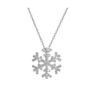 Evolution Group Třpytivý stříbrný náhrdelník Vločka 12047.1