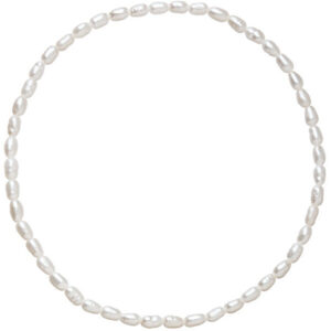 Evolution Group Jemný perličkový náramek Pavona 23005.1 B