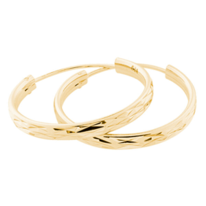 JVD Pozlacené náušnice kruhy SVLE0205XD5GO 5 cm