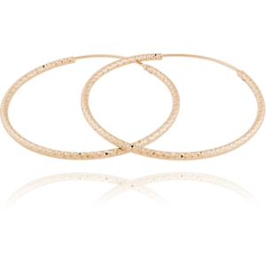 JVD Pozlacené stříbrné náušnice kruhy SVLE0216XD5RO 4